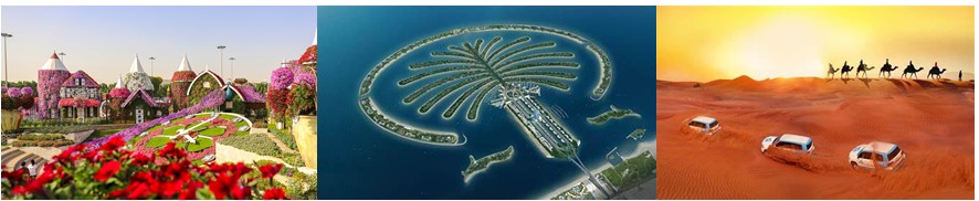 NGÀY 3: PALM JUMEIRAH - SAFARI - MIRACLE GARDEN (Ăn 3 bữa)