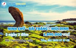 TOUR DU LỊCH NINH CHỮ - BÃI TRÀNG - MŨI DINH 2 NGÀY 2 ĐÊM
